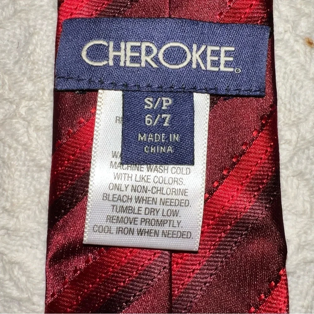 Nwot Little guy’s clip on tie in shades of purple and red
